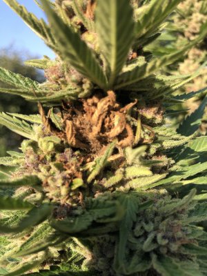 IMG_5764.jpg IMG_5764.jpg