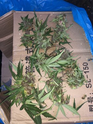 IMG_5773.jpg IMG_5773.jpg