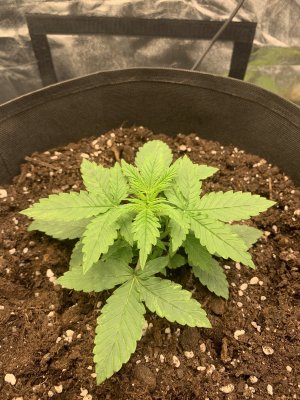 0FD3A417-46E5-4E6E-B0E6-50F9237360F8.jpeg 0FD3A417-46E5-4E6E-B0E6-50F9237360F8.jpeg