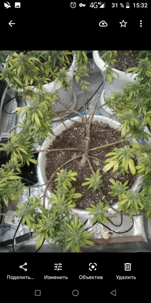 Screenshot_20220815-153226.png Screenshot_20220815-153226.png