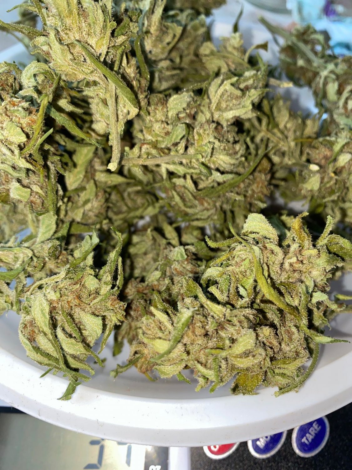 28B61905-C2A5-447C-8B39-69798C8AB74B.jpeg 28B61905-C2A5-447C-8B39-69798C8AB74B.jpeg