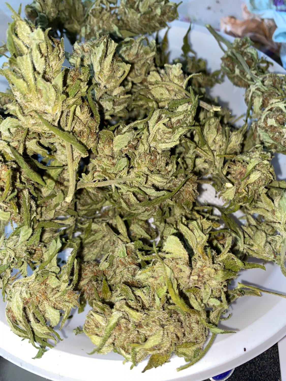 5D773FEF-A69A-4B23-9898-3FE1CD431AF8.jpeg 5D773FEF-A69A-4B23-9898-3FE1CD431AF8.jpeg