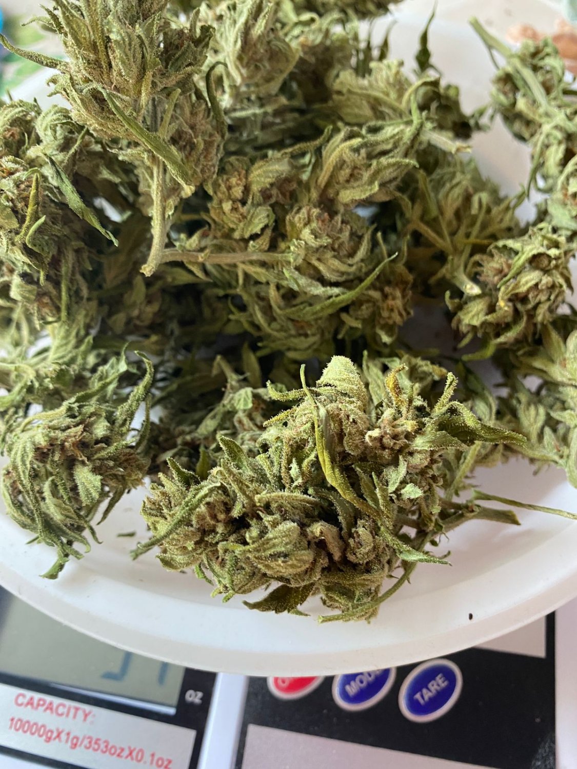 E83B59DE-F09E-4FEA-8C75-3CC7A8C836E1.jpeg E83B59DE-F09E-4FEA-8C75-3CC7A8C836E1.jpeg