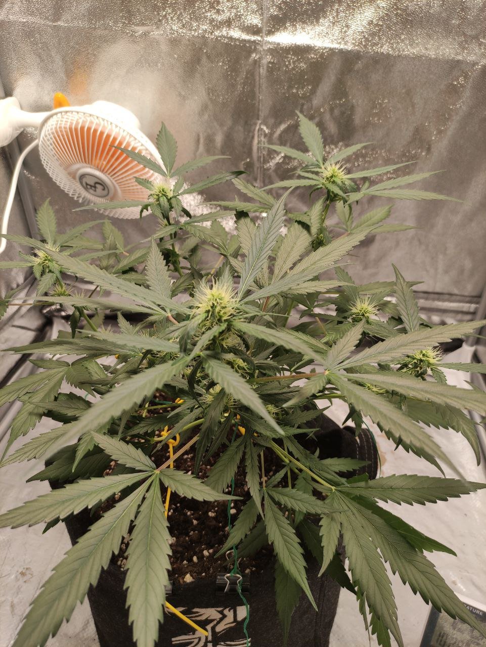 photo_2022-08-17_10-34-16 - Copia.jpg