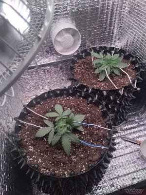 _CRMGLk8XSI.jpg _CRMGLk8XSI.jpg