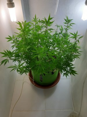 20220825_183143.jpg 20220825_183143.jpg