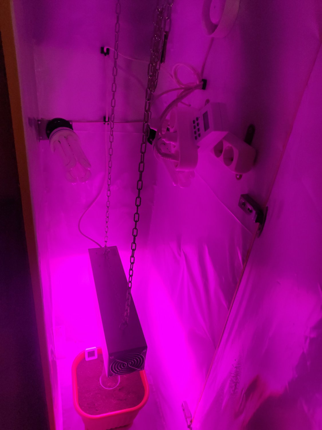 P20830-043634.jpg P20830-043634.jpg