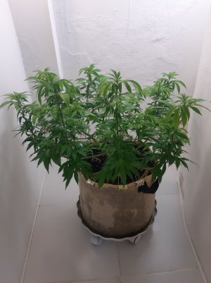 20220902_112306.jpg 20220902_112306.jpg