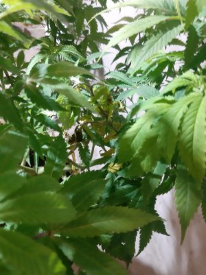 20220902_112804.jpg 20220902_112804.jpg