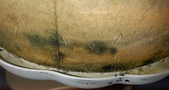 20220903_155101.jpg 20220903_155101.jpg