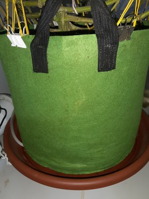 20220903_155119.jpg 20220903_155119.jpg