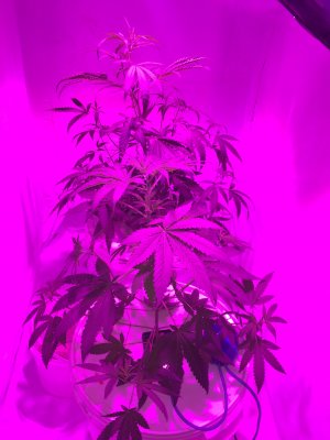 01 (10).JPG 01 (10).JPG