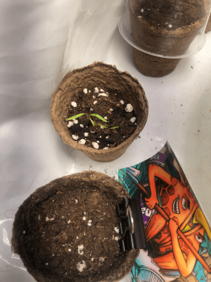 F980A802-DD39-422F-BD75-0C20A87D3660.png F980A802-DD39-422F-BD75-0C20A87D3660.png