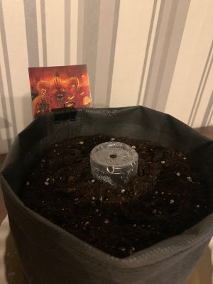 181641F9-9856-48C3-B64C-36682D2AA2BB.jpeg 181641F9-9856-48C3-B64C-36682D2AA2BB.jpeg