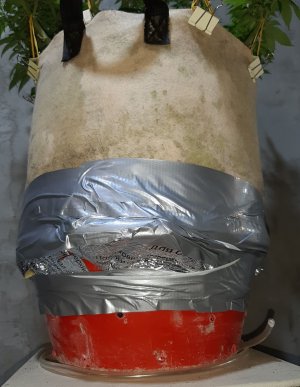 20220907_095033.jpg 20220907_095033.jpg