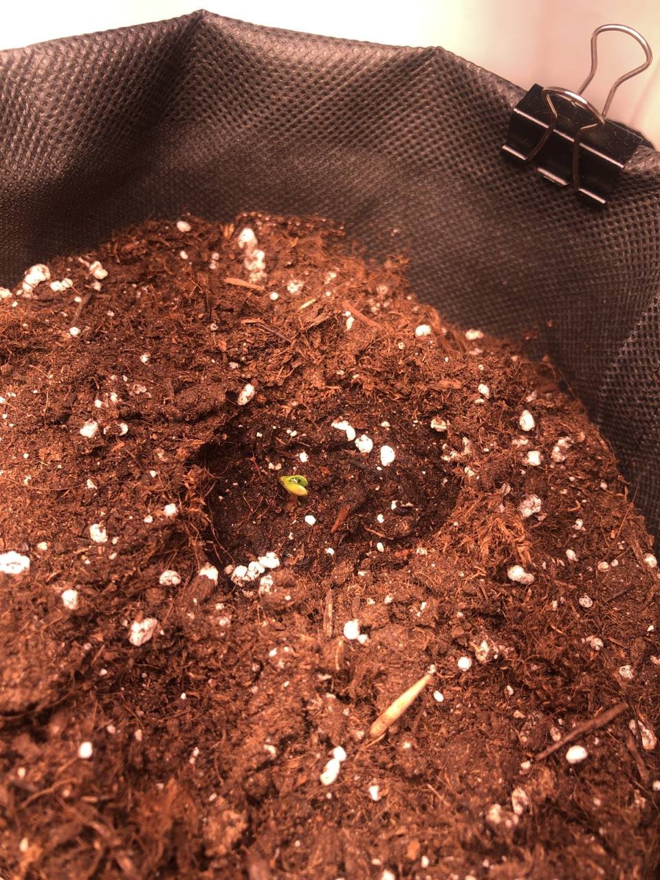 7345C78F-3F42-4D14-ACDE-D00465CCAEA0.jpeg 7345C78F-3F42-4D14-ACDE-D00465CCAEA0.jpeg