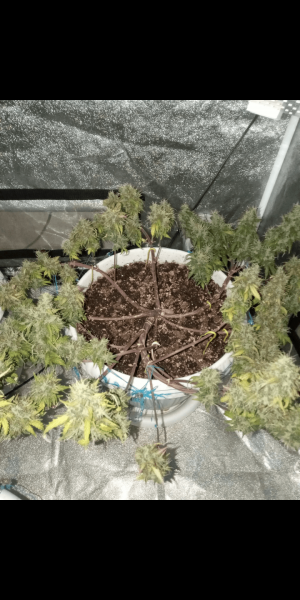 Screenshot_20220911-135138.png Screenshot_20220911-135138.png