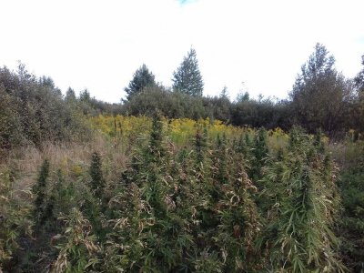 20220909_170624.jpg 20220909_170624.jpg