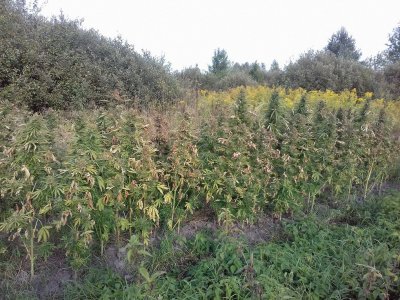 20220909_170640.jpg 20220909_170640.jpg