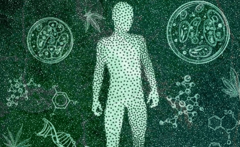 1663622061282.png 1663622061282.png