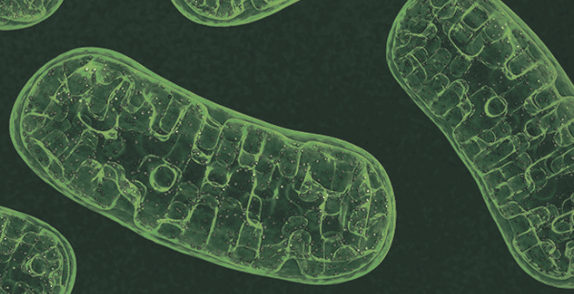 1663622160631.png 1663622160631.png