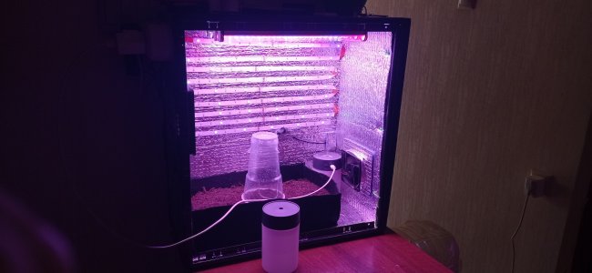 IMG_20220920_111247.jpg IMG_20220920_111247.jpg