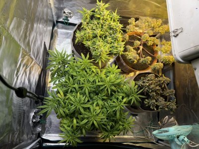 9A1FFBD3-3BE8-4D76-AD74-4CC10714D129.jpeg 9A1FFBD3-3BE8-4D76-AD74-4CC10714D129.jpeg