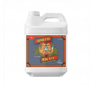 IMG_20220921_211816.jpg IMG_20220921_211816.jpg