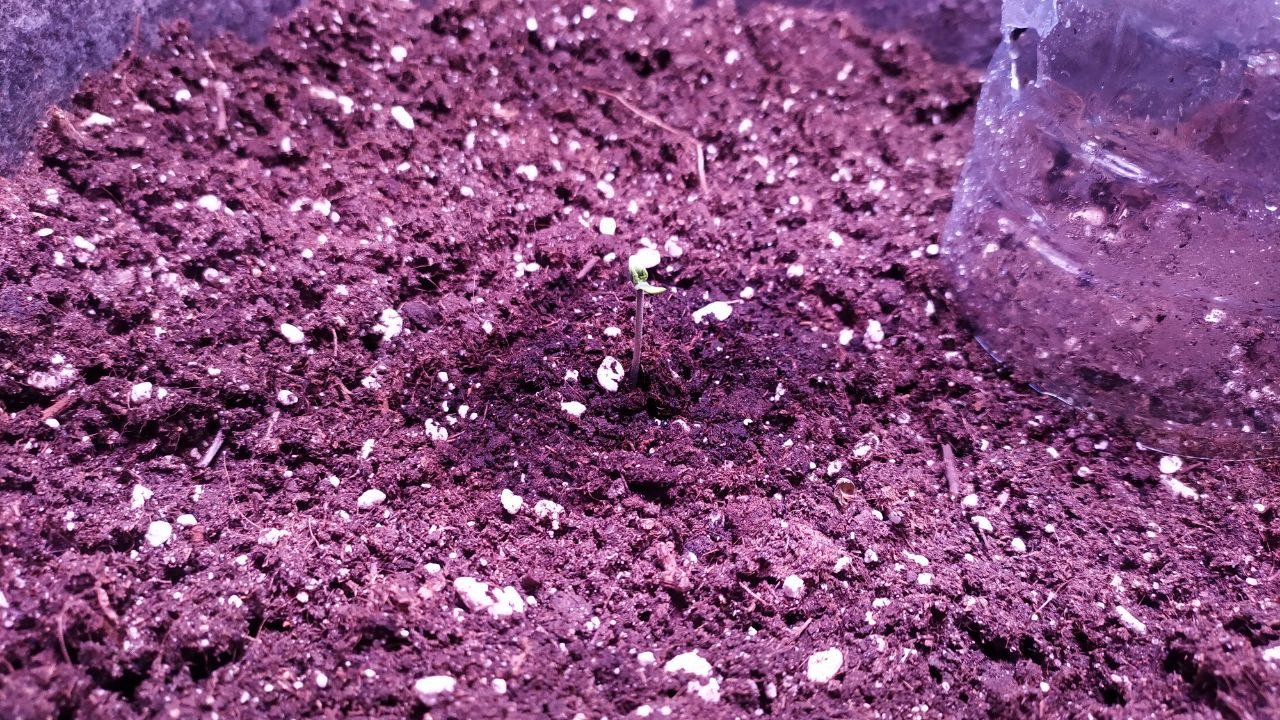 photo_2022-09-22_10-31-59.jpg photo_2022-09-22_10-31-59.jpg