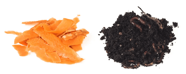 1663836279877.png 1663836279877.png