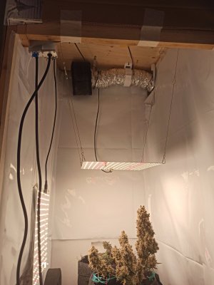 IMG_20220902_184400.jpg IMG_20220902_184400.jpg