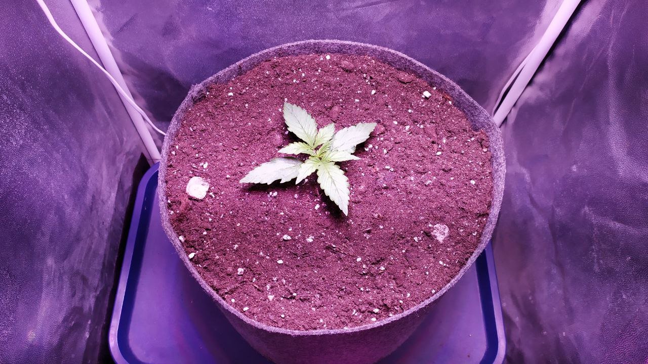 photo_2022-09-30_09-04-17.jpg photo_2022-09-30_09-04-17.jpg