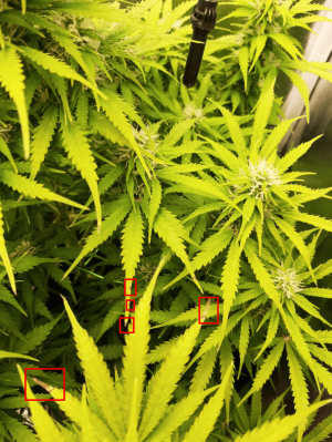 1664572630000.png 1664572630000.png