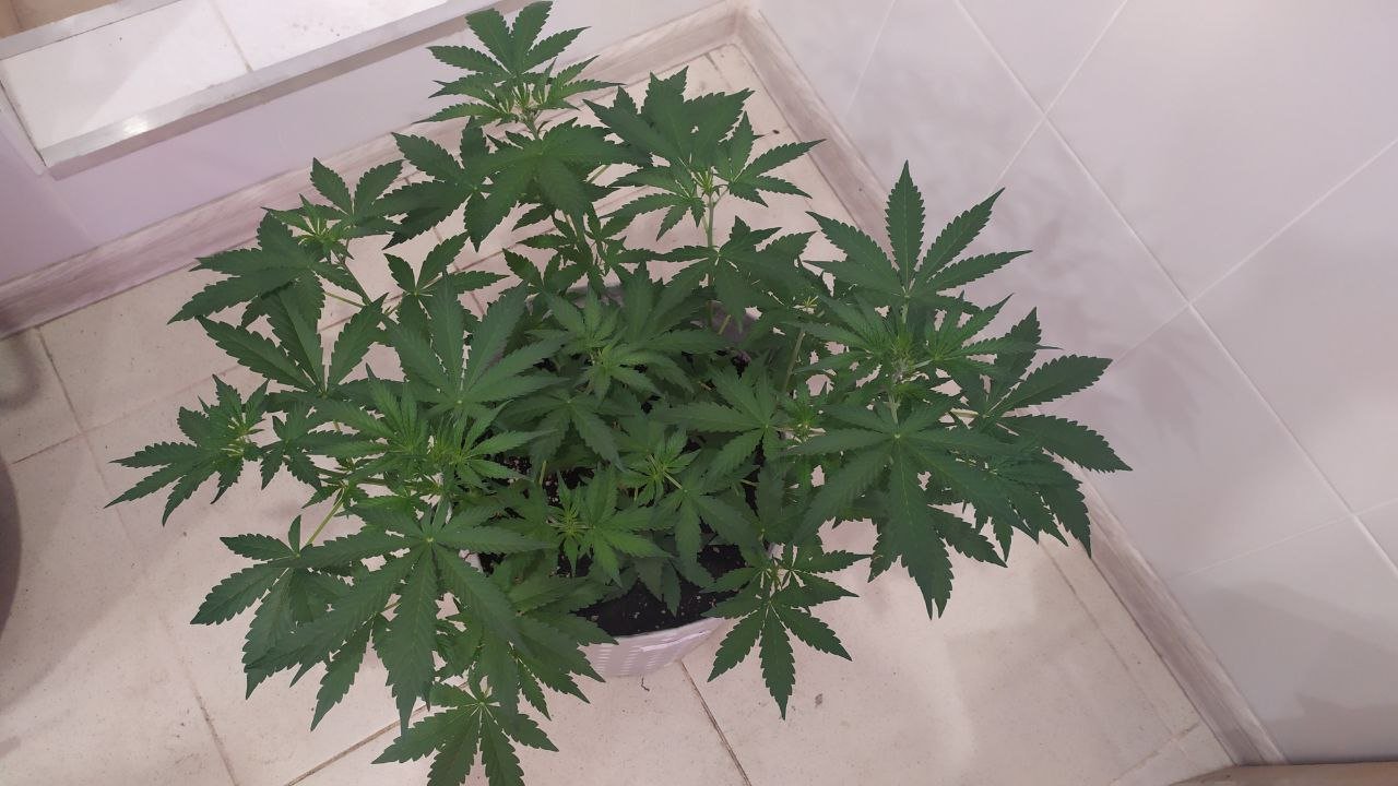 photo_2022-10-01_15-55-53 (2).jpg