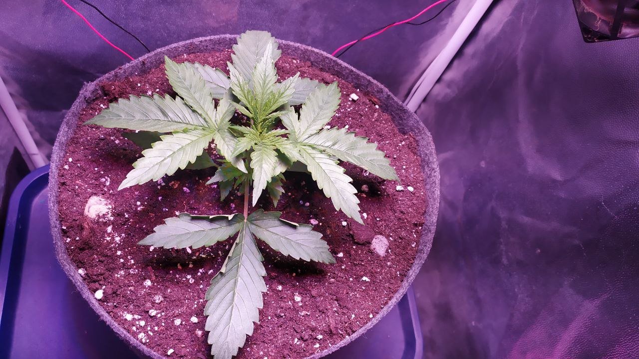 photo_2022-10-04_10-09-05.jpg photo_2022-10-04_10-09-05.jpg