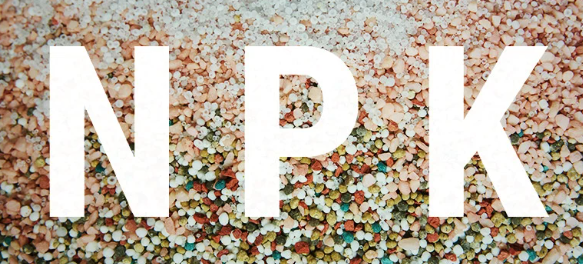 1664912273973.png 1664912273973.png