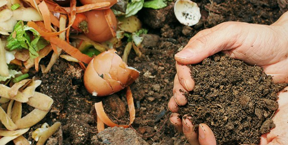 1664912450989.png 1664912450989.png