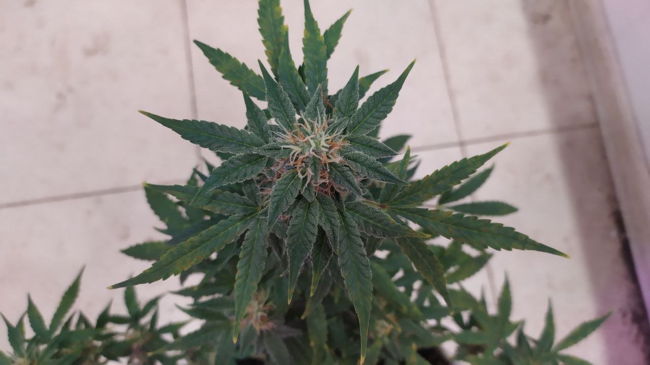 photo_2022-10-05_14-19-58 (2).jpg