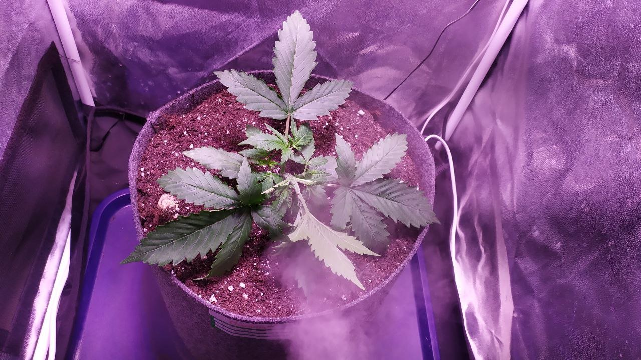 photo_2022-10-05_14-20-00.jpg photo_2022-10-05_14-20-00.jpg