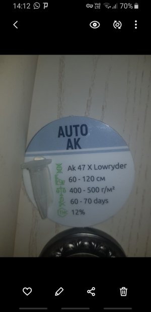 Screenshot_20221010-141252_Gallery.jpg Screenshot_20221010-141252_Gallery.jpg