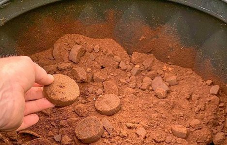 Кофейная гуща – эффективное натуральное удобрение для конопли Кофейная гуща – эффективное натуральное удобрение для конопли