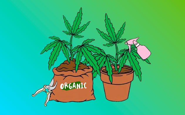 Органическая альтернатива пестицидам