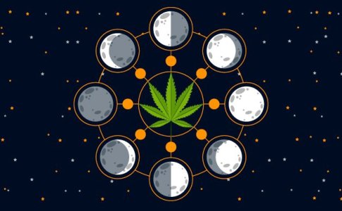 лунный календарь для конопли