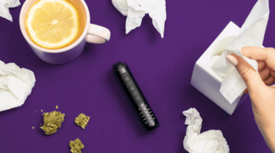 1617474694263.png 1617474694263.png