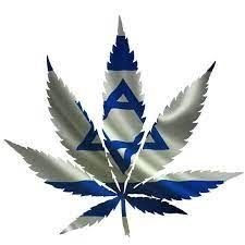 фото1.jpg фото1.jpg