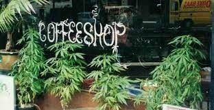 coffee.jpg coffee.jpg