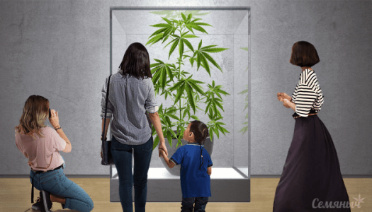 1621523281271.png 1621523281271.png