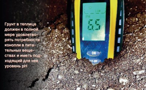 Подготовка грунта в теплице для конопли Подготовка грунта в теплице для конопли