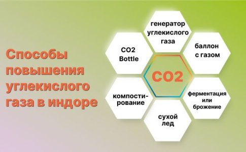 Как повысить концентрацию СО2 для конопли Как повысить концентрацию СО2 для конопли