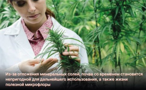 Минеральные удобрения для автоцветов